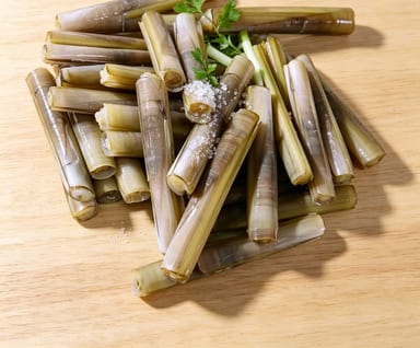 Fresh Bamboo Shoots